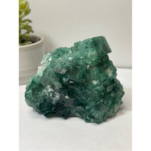 Green Fluorite Mineral Specimen
